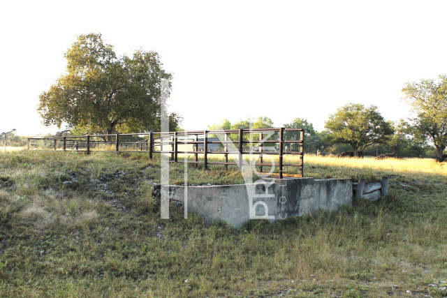 5409 Ha Farm For Sale 