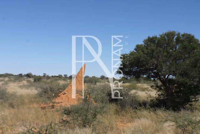 232 Ha Plot For Sale - Ref.No. 2068