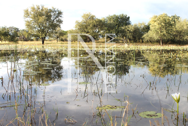 5409 Ha Farm For Sale 