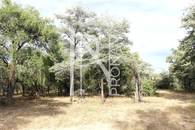 5409 Ha Farm For Sale 