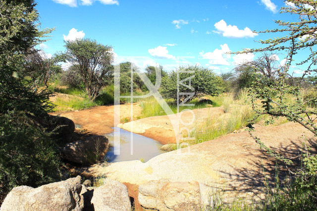 30.08 Ha Plot For Sale