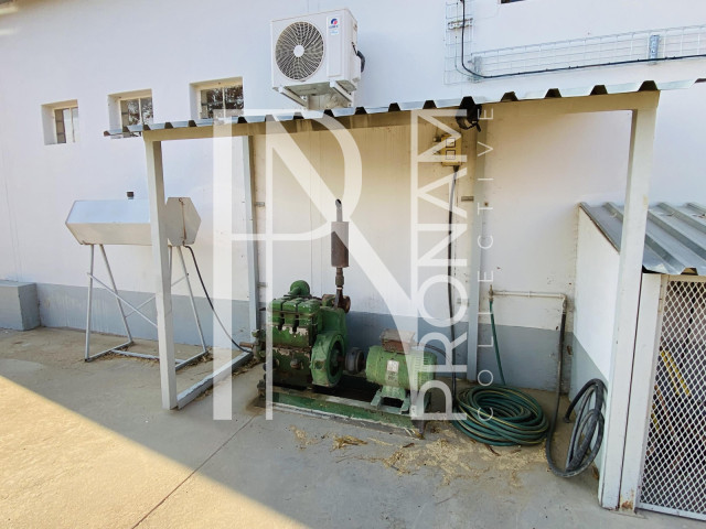 A backup generator
