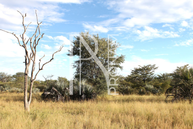 5409 Ha Farm For Sale 