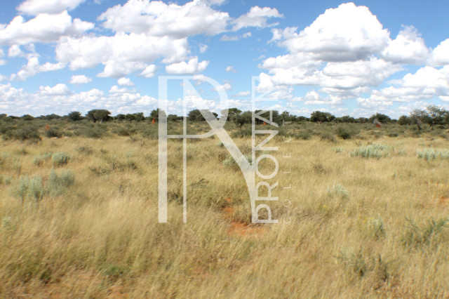 1268 Ha Farm For Sale - PRIME LOCATION - Ref.No. 2063