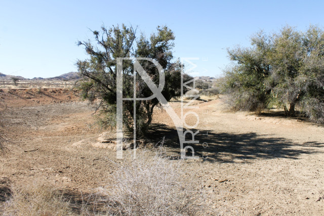 1 Farm For Sale