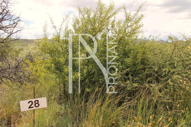 5.97 Ha Plot For Sale - Ref.No. 2042