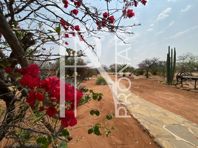One of the ways up to the Bungalows