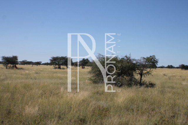 152 Ha Plot For Sale - Ref.No. 2075