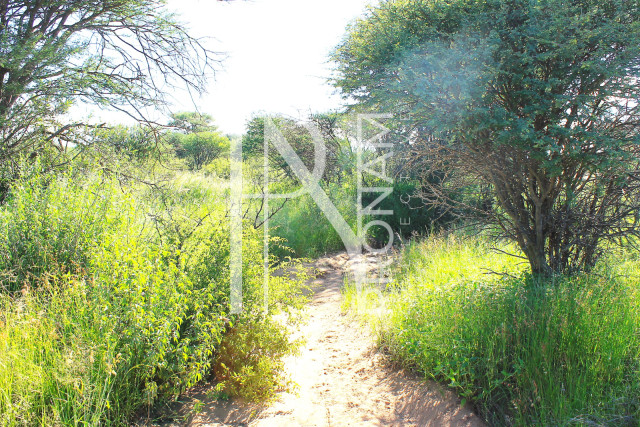 30.08 Ha Plot For Sale