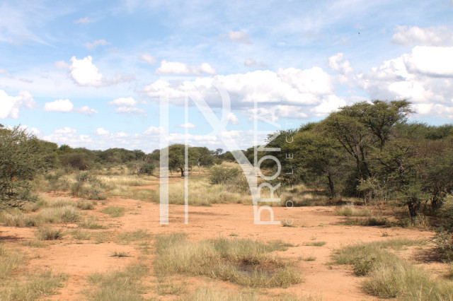 1268 Ha Farm For Sale - PRIME LOCATION - Ref.No. 2063