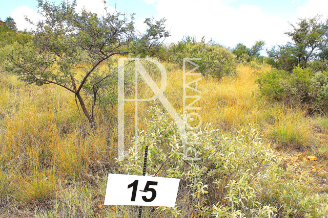 4.14 Ha Plot For Sale - Ref.No. 2029
