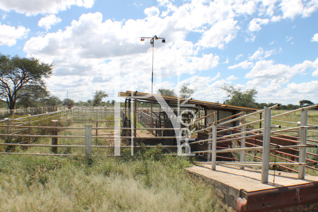 1268 Ha Farm For Sale - PRIME LOCATION - Ref.No. 2063