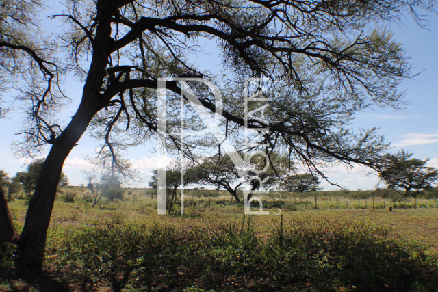 152 Ha Plot For Sale - Ref.No. 2075