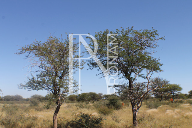 164 Ha Plot For Sale - Ref.No. 2067