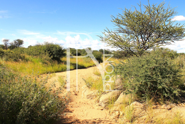 30.08 Ha Plot For Sale