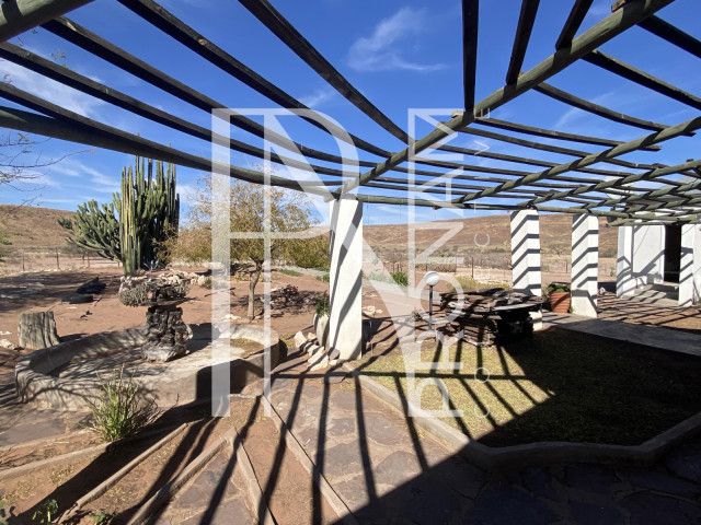 View into the garden
