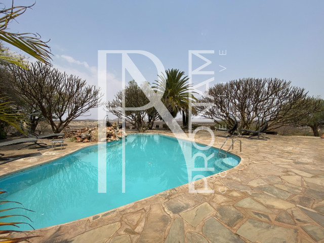 The pool deck
