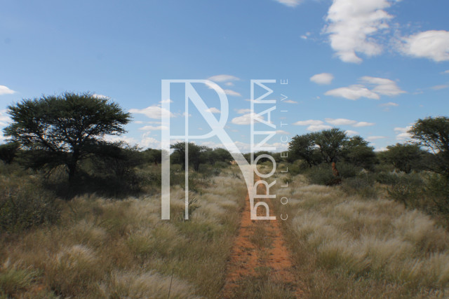 155 Ha Plot For Sale - Ref.No. 2065