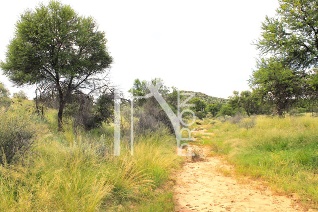 4.02 Ha Plot For Sale