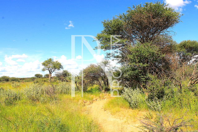 30.08 Ha Plot For Sale