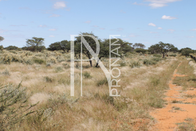 163 Ha Plot For Sale - Ref.No. 2066
