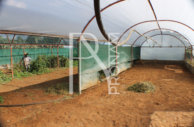1268 Ha Farm For Sale - PRIME LOCATION - Ref.No. 2063
