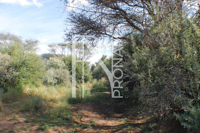 1268 Ha Farm For Sale - PRIME LOCATION - Ref.No. 2063
