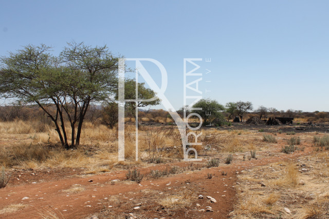 Most of the farm is covered with red soil