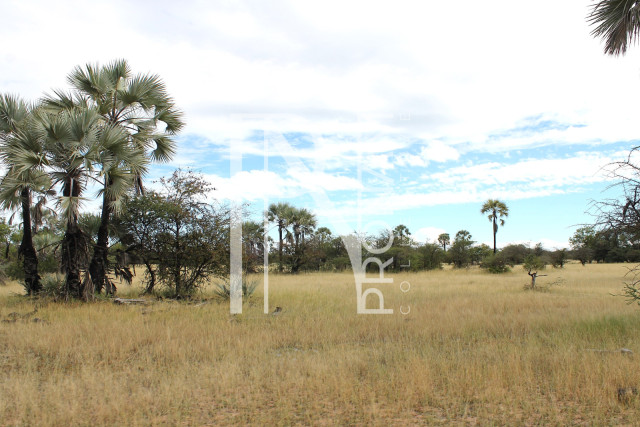 5409 Ha Farm For Sale 