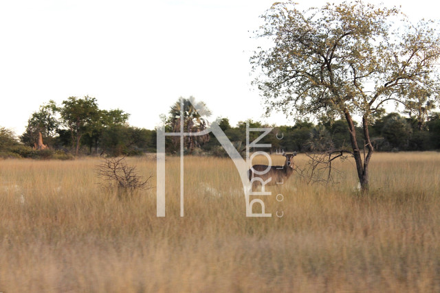 5409 Ha Farm For Sale 