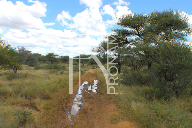 1268 Ha Farm For Sale - PRIME LOCATION - Ref.No. 2063
