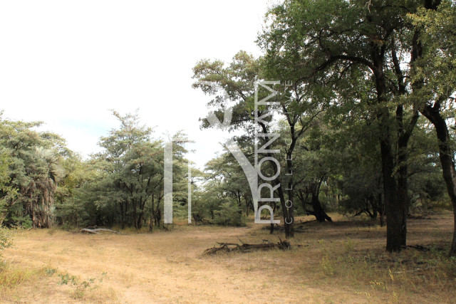 5409 Ha Farm For Sale 