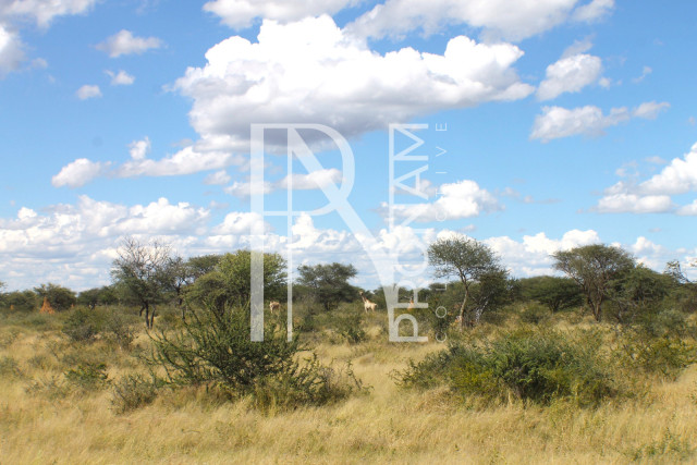 1268 Ha Farm For Sale - PRIME LOCATION - Ref.No. 2063