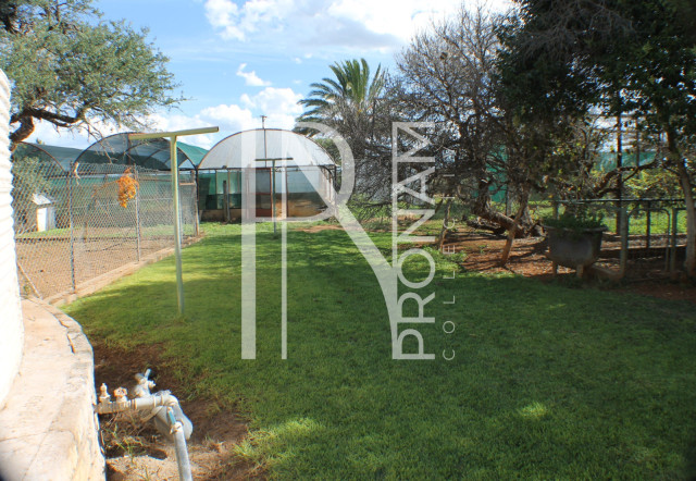 1268 Ha Farm For Sale - PRIME LOCATION - Ref.No. 2063