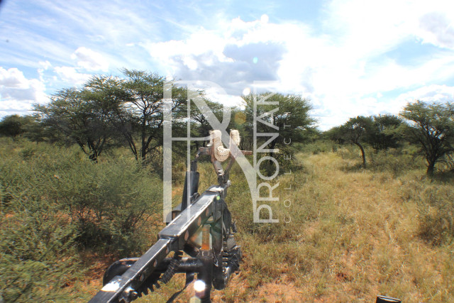 1268 Ha Farm For Sale - PRIME LOCATION - Ref.No. 2063