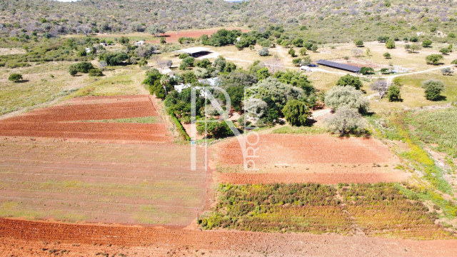 220 Ha Agricultur Farm for sale in Tsumeb - Ref.Nr. 2080