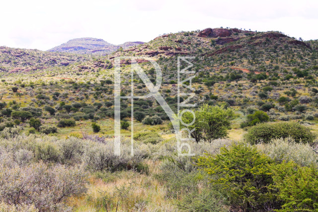 5.97 Ha Plot For Sale