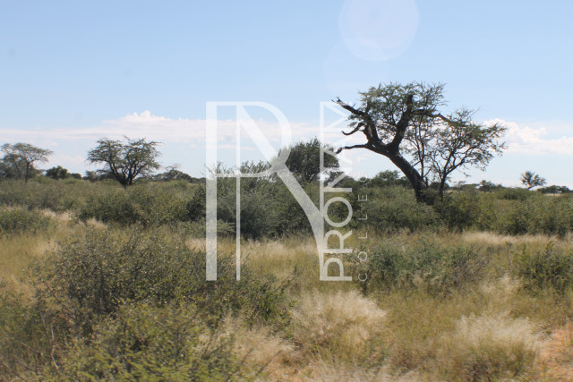 129 Ha Plot For Sale - Ref.No. 2076