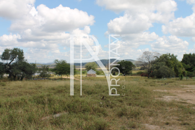 200 Ha Farm For Sale