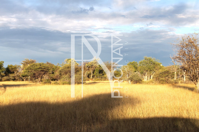 5409 Ha Farm For Sale 