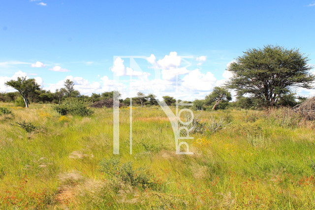 30.08 Ha Plot For Sale