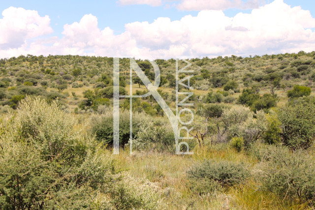 4.0 Ha Plot For Sale
