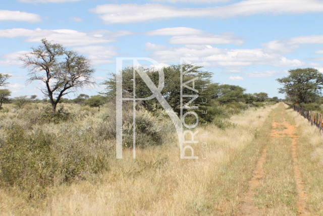 163 Ha Plot For Sale - Ref.No. 2066