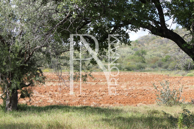 200 Ha Farm For Sale