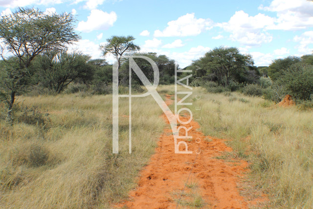 1268 Ha Farm For Sale - PRIME LOCATION - Ref.No. 2063