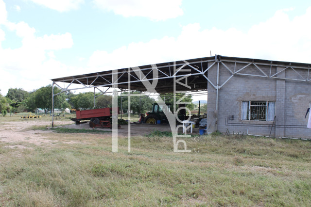 200 Ha Farm For Sale