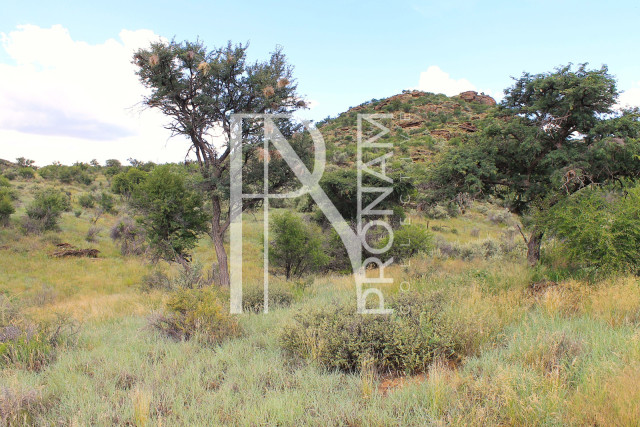 5.64 Ha Plot For Sale